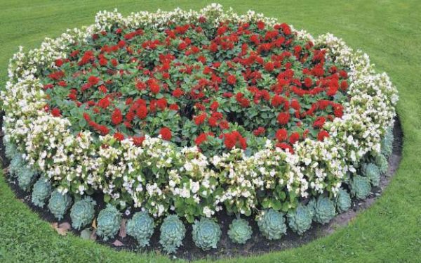 Types of flower beds: how to make different flower beds yourself