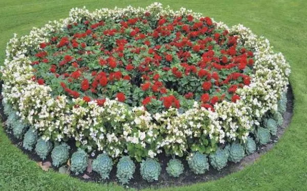 Types of flower beds: how to make different flower beds yourself