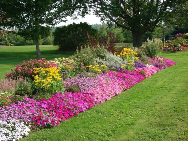 Types of flower beds: how to make different flower beds yourself