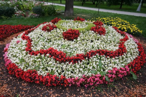 Types of flower beds: how to make different flower beds yourself