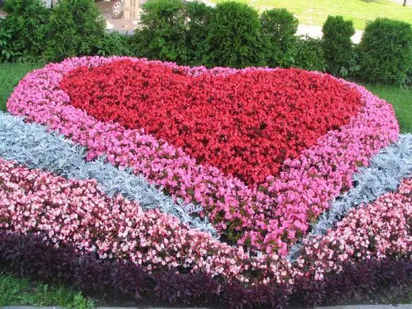 Types of flower beds: how to make different flower beds yourself