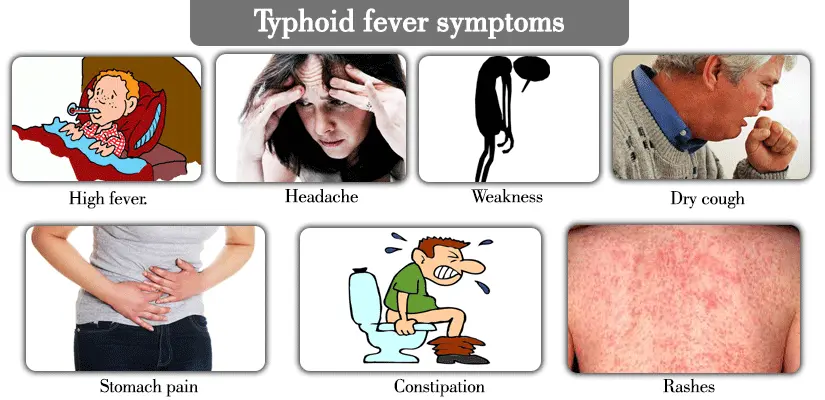 Typhoid fever &#8211; symptoms, vaccination