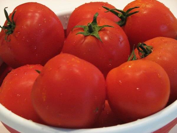 Ultra-early varieties of tomatoes