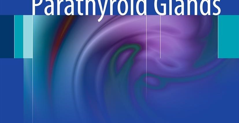 Ultrasound of the thyroid and parathyroid glands. Indications and the course of the study