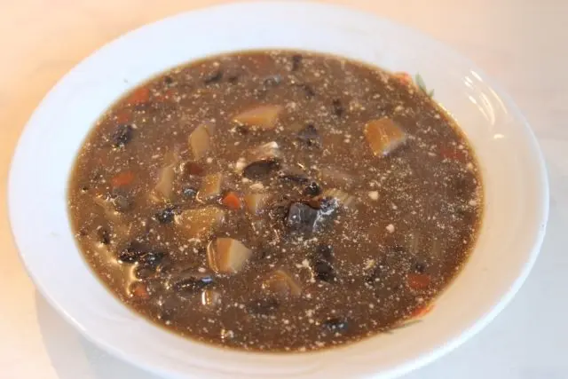 Umbrella mushroom soup: cooking recipes with photos