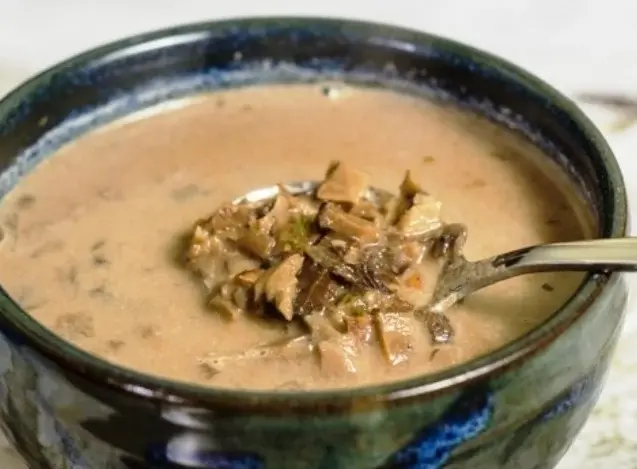 Umbrella mushroom soup: cooking recipes with photos