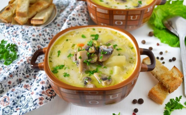 Umbrella mushroom soup: cooking recipes with photos