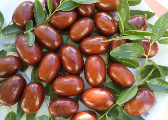 Unabi (Chinese date or jujube): useful properties and contraindications, composition, calorie content, taste