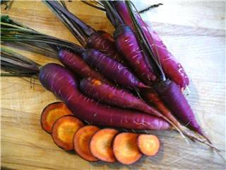 Unusual varieties of colorful carrots