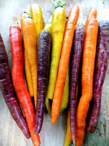 Unusual varieties of colorful carrots