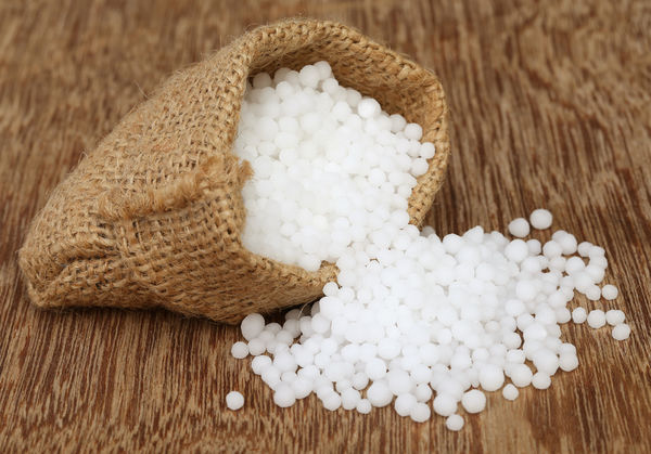 Urea: application of fertilizer in the garden, methods of use