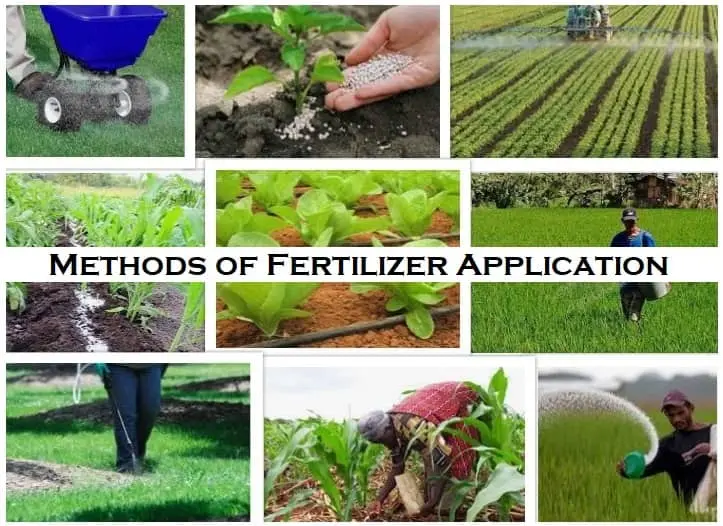 Urea: application of fertilizer in the garden, methods of use