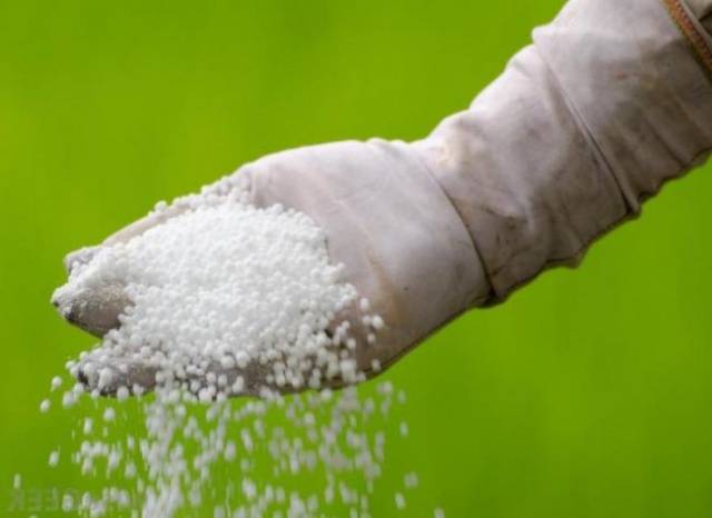 Urea fertilizer: application, composition