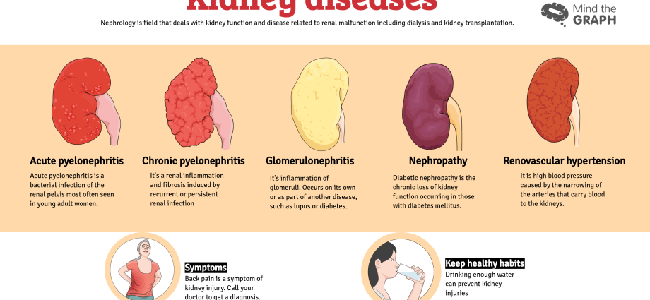 Urinary system diseases &#8211; what are the most common?