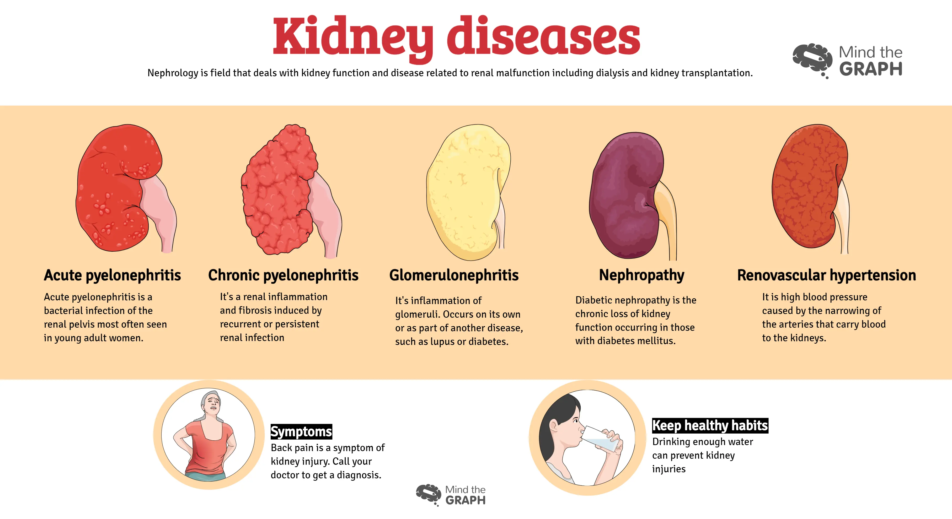 Urinary system diseases. What symptoms may appear?