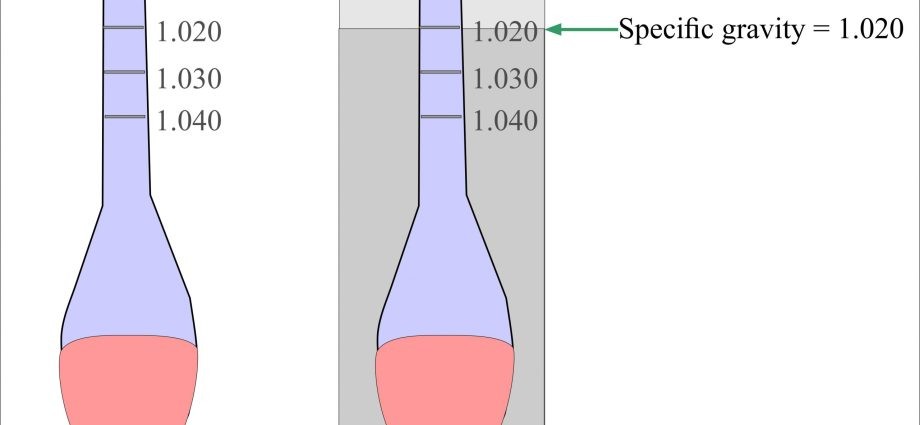 Urine specific gravity &#8211; examination, norm, result interpretation