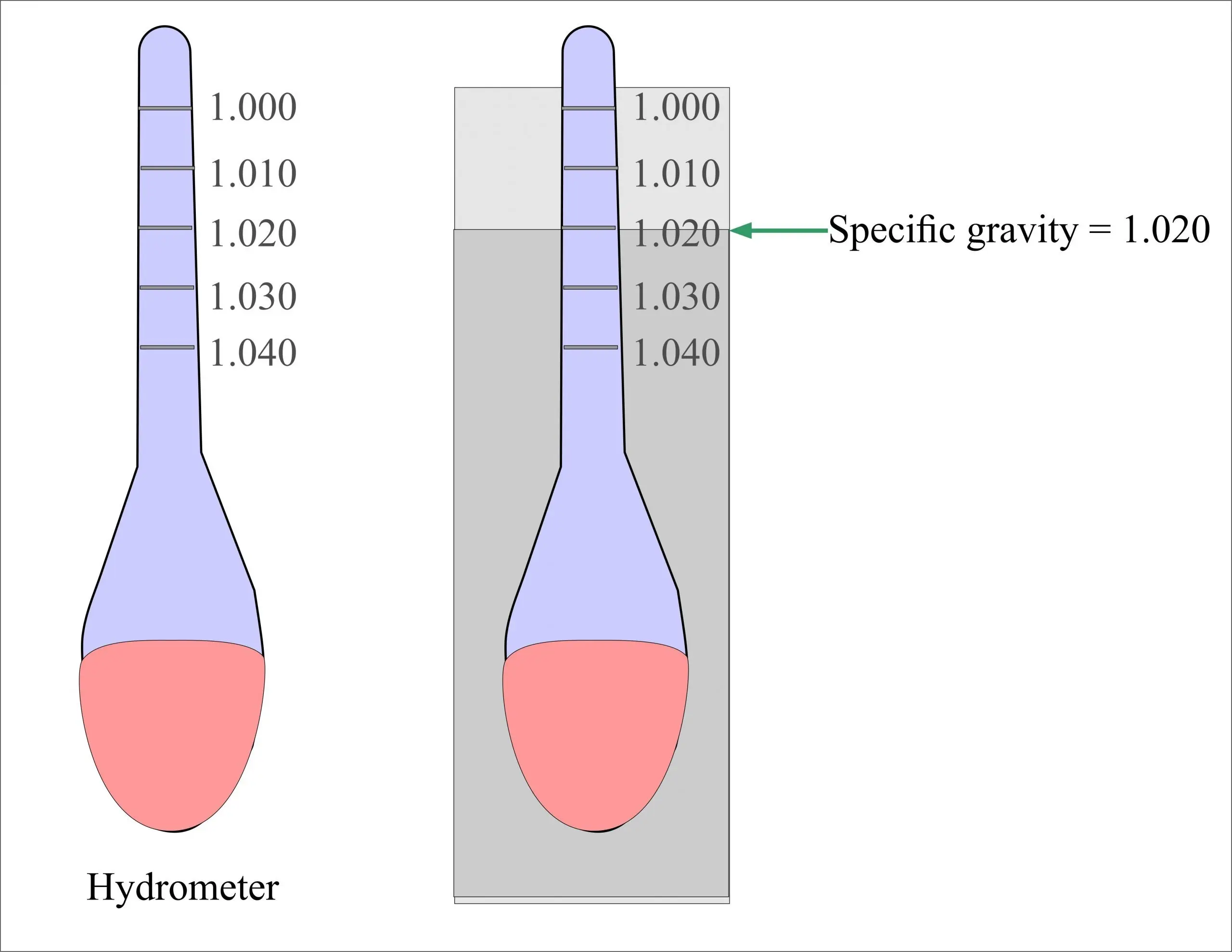 Urine specific gravity &#8211; examination, norm, result interpretation