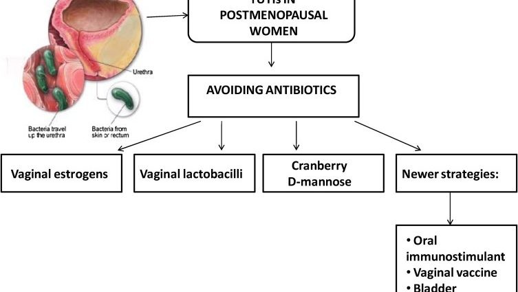 Urogenital tract infections in menopause &#8211; how to treat?