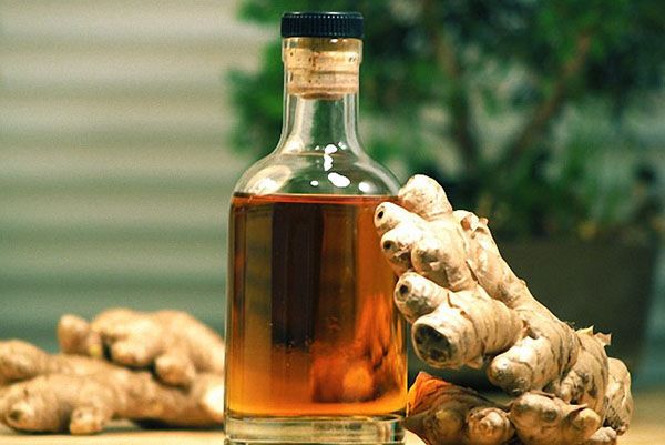 Useful properties and contraindications of ginger for men + use for weight loss, improving potency and in diseases