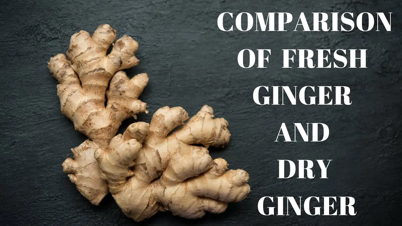 Useful properties and contraindications of ginger for men + use for weight loss, improving potency and in diseases