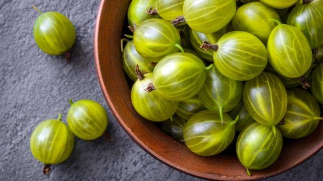 Useful properties and contraindications of gooseberries