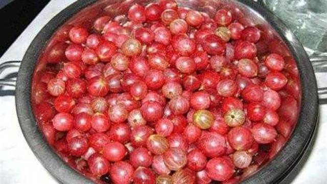 Useful properties and contraindications of gooseberries