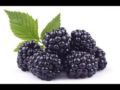 Useful properties of blackberry