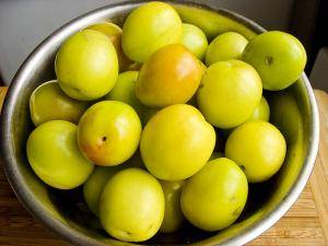 Useful properties of cherry plum