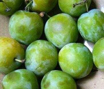 Useful properties of cherry plum