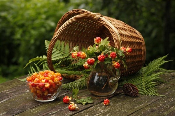 Useful properties of cloudberries