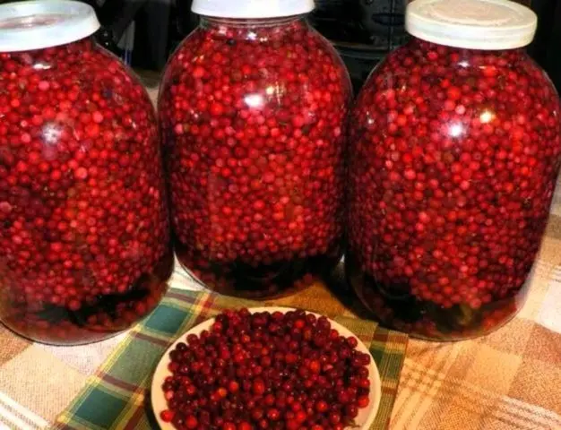 Useful properties of cowberries