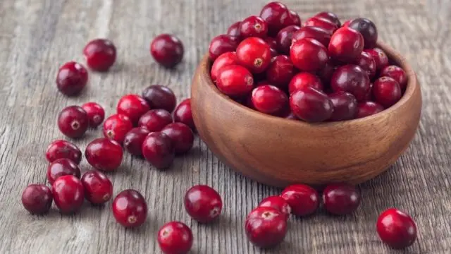 Useful properties of cowberries