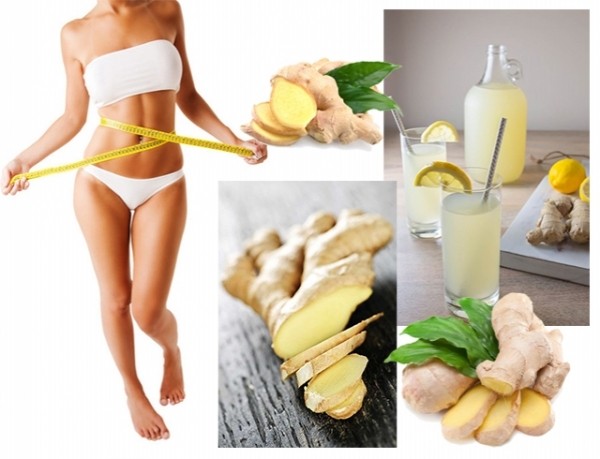 Useful properties of ginger for women in weight loss, treatment of pathologies, infertility + rules for use and beauty recipes