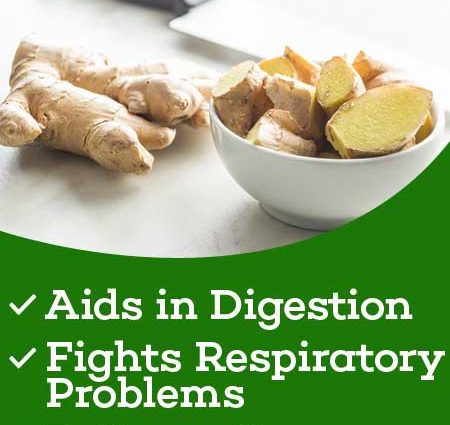 Useful properties of ginger for women in weight loss, treatment of pathologies, infertility + rules for use and beauty recipes