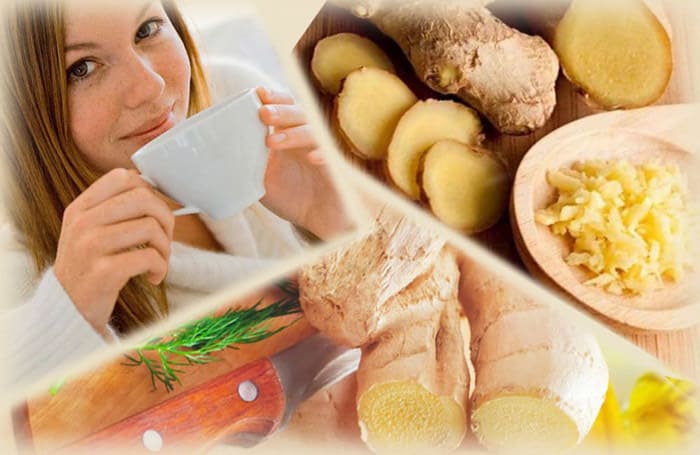 Useful properties of ginger for women in weight loss, treatment of pathologies, infertility + rules for use and beauty recipes