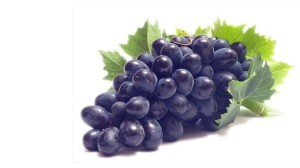 Useful properties of Isabella grapes: benefits for the human body