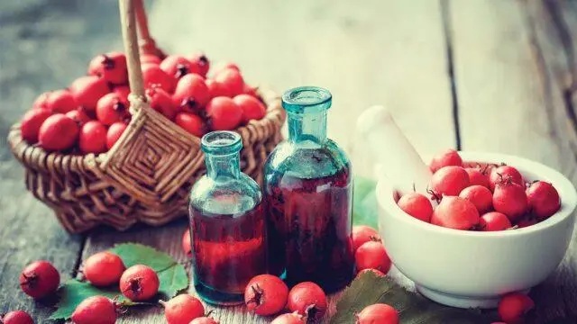 Useful properties of rosehip syrup and contraindications