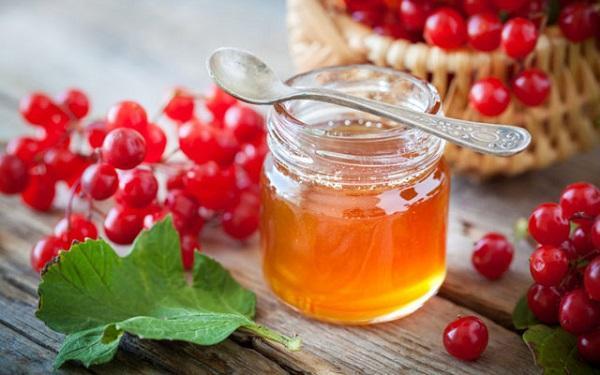 Useful properties of viburnum juice and contraindications