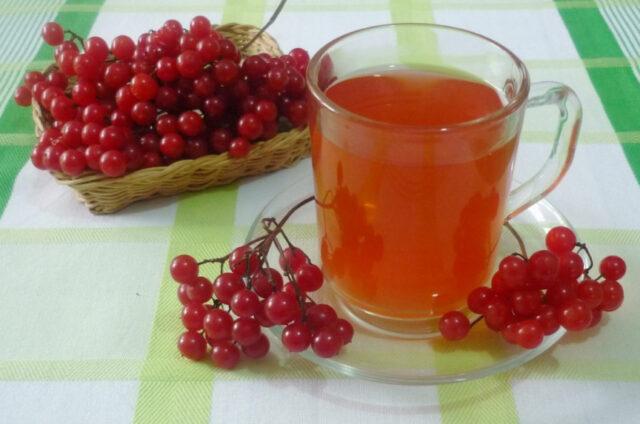 Useful properties of viburnum juice and contraindications