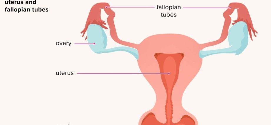 Uterus &#8211; diseases and illnesses. What can mean lower abdominal pain?