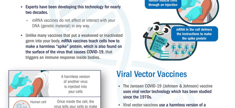 Vaccination against COVID-19. How do vaccines work that Poles will benefit from? [INFOGRAPHICS]