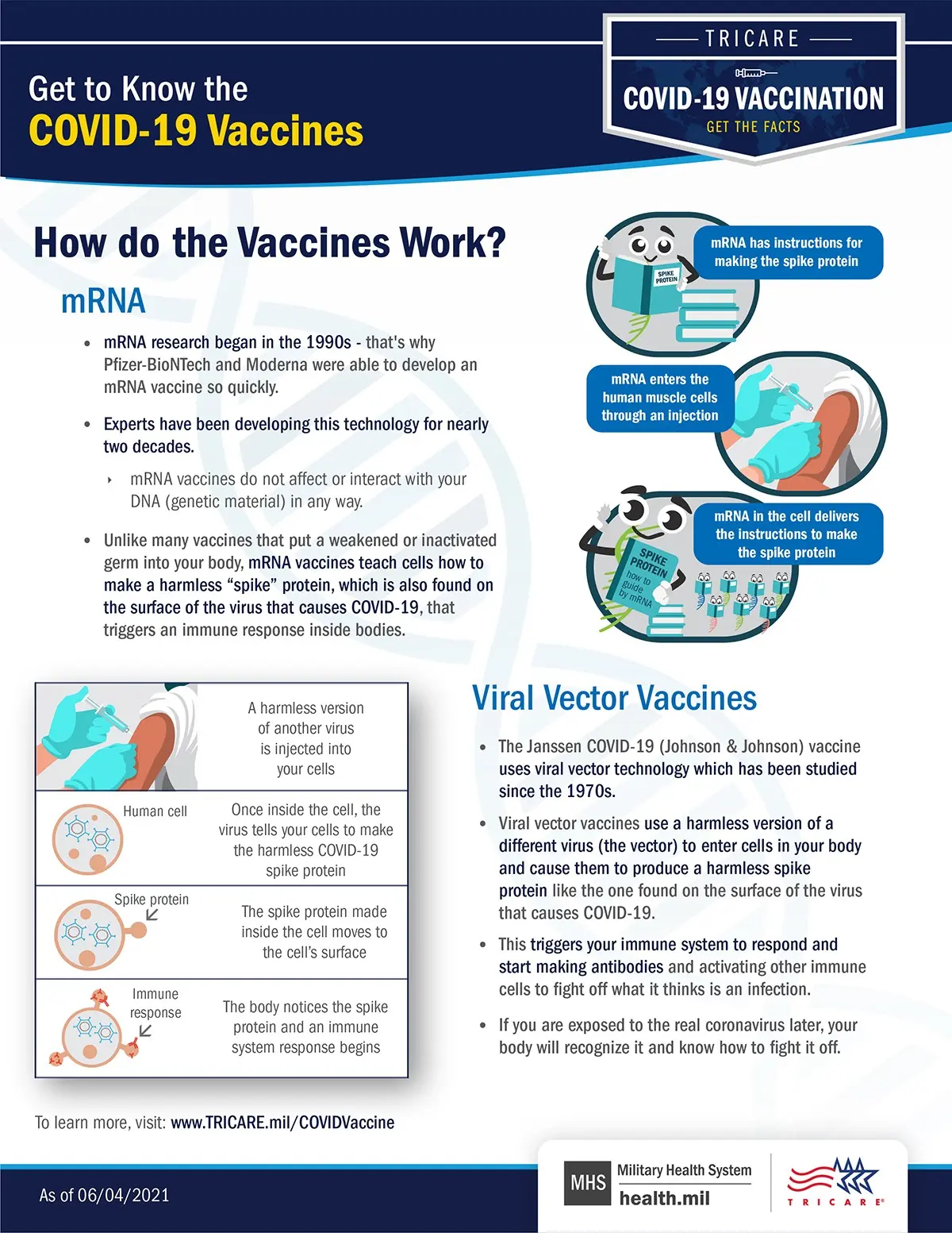 Vaccination against COVID-19. How do vaccines work that Poles will benefit from? [INFOGRAPHICS]