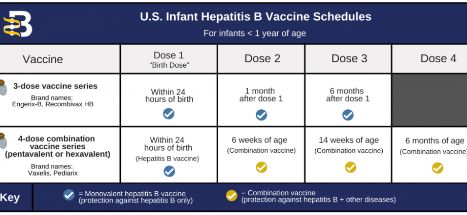 Vaccination against hepatitis B &#8211; when should you get vaccinated?