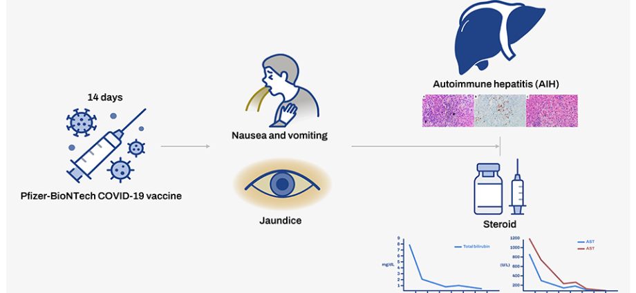 Vaccination against jaundice