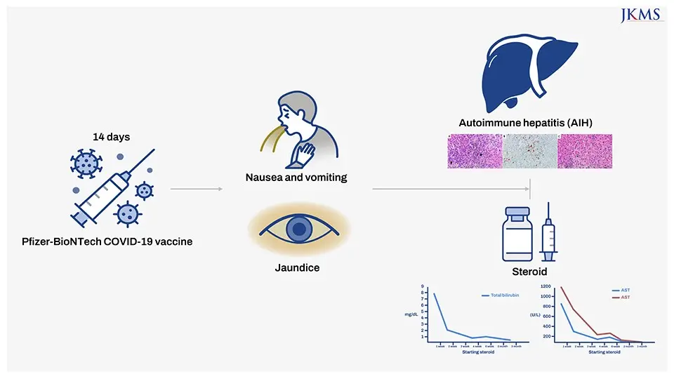 Vaccination against jaundice