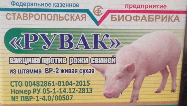 Vaccinations for pigs