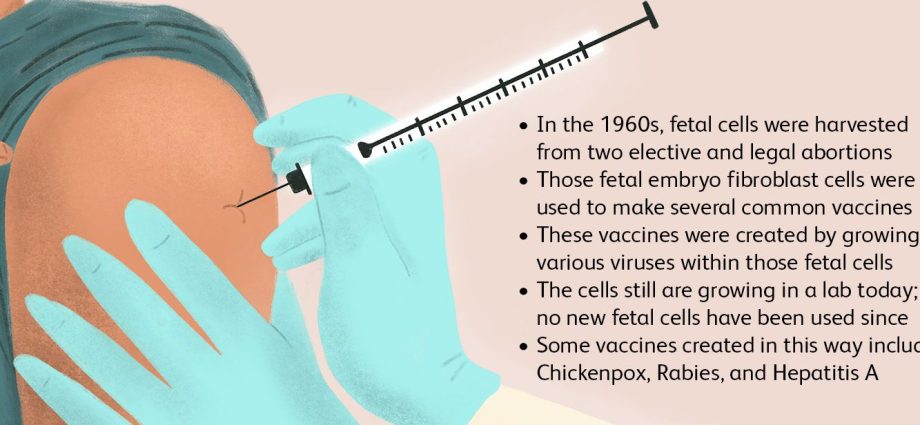 Vaccines from aborted fetuses? The doctor did not hide his indignation