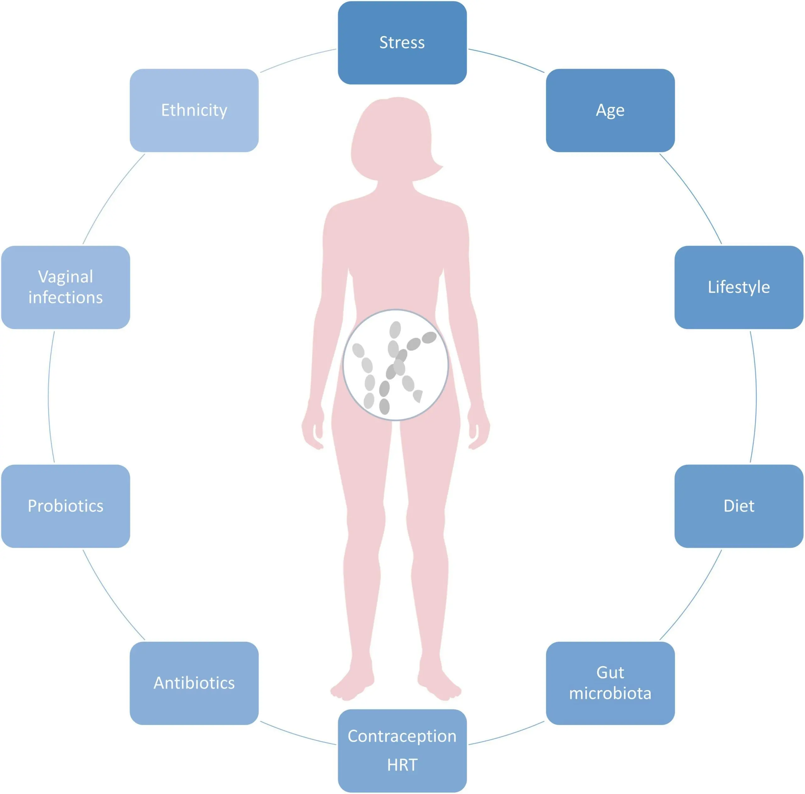 Vaginal probiotics &#8211; characteristics and indications