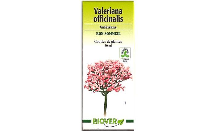 Valerian &#8211; action, application. Valerian in drops and tablets