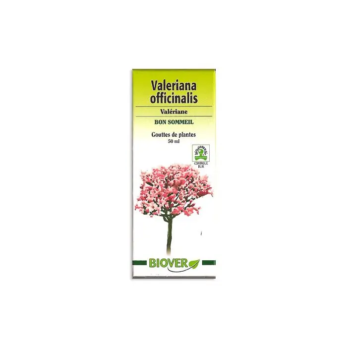 Valerian &#8211; action, application. Valerian in drops and tablets